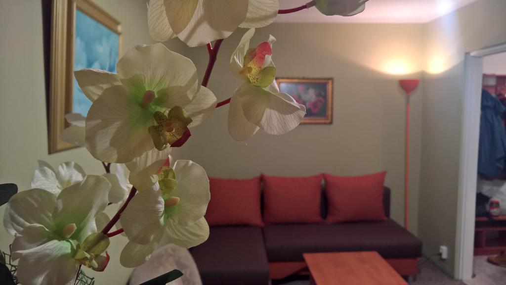 Apartament Konopnicka Augustow Ngoại thất bức ảnh